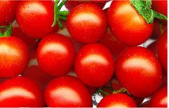 food application