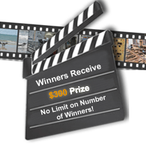 Video Contest No Limit on Number of Winners