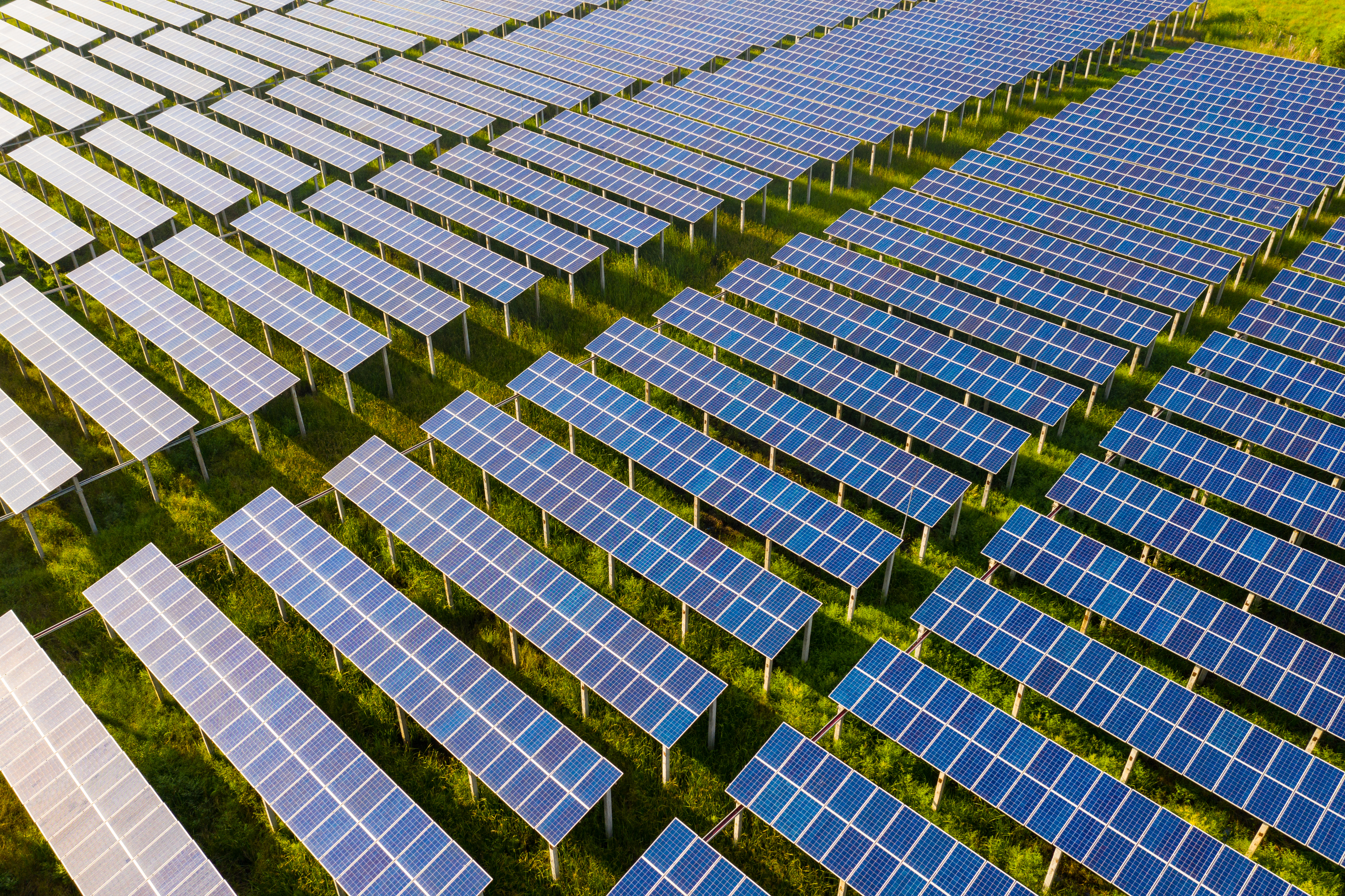 top view solar panels solar cell solar farm with green tree